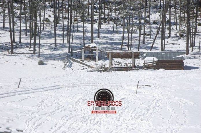 56dd4d2f-cc2c-4607-a095-aba7c7567e4e