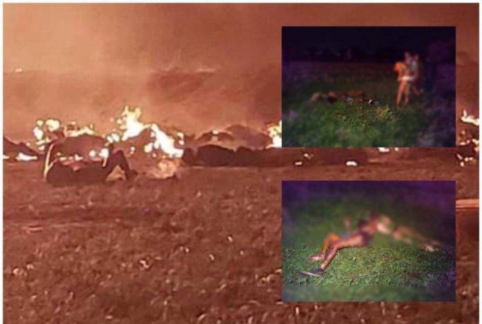 d1158921-6435-45c4-96a1-4fc968490bb1