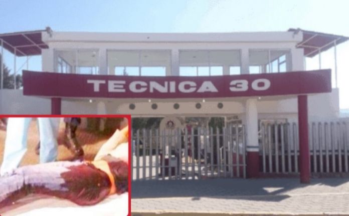 56FA426F-F1A1-4B1B-8284-CC059B854A37