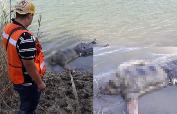 58F4F9A4-6EC2-424D-928C-7EEE0850DBE5