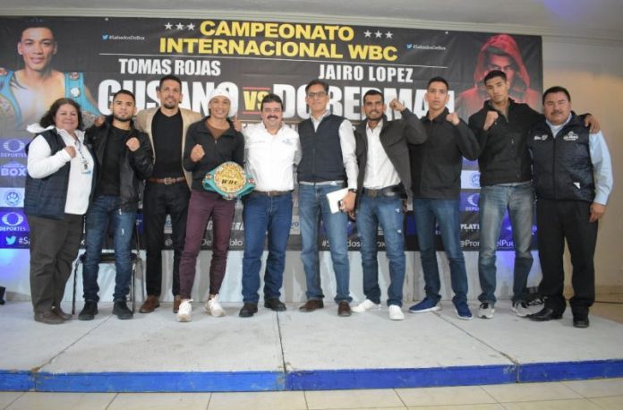 FD3662C4-B19A-4C95-A5FD-A2D2F99CAD4B