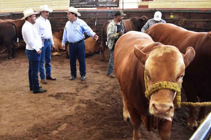 SRU-011-2019.-Todo está listo para iniciar el programa “Mejoramiento Genético Tam 2019” (4)