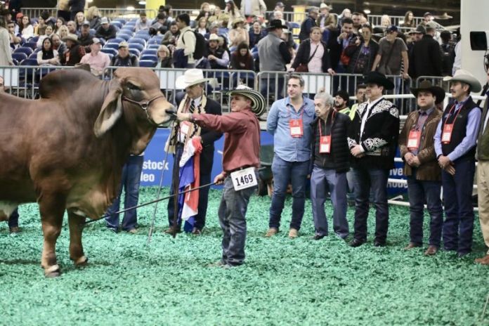 B7EB8B80-00B8-41BC-B83B-287BB54DE25E