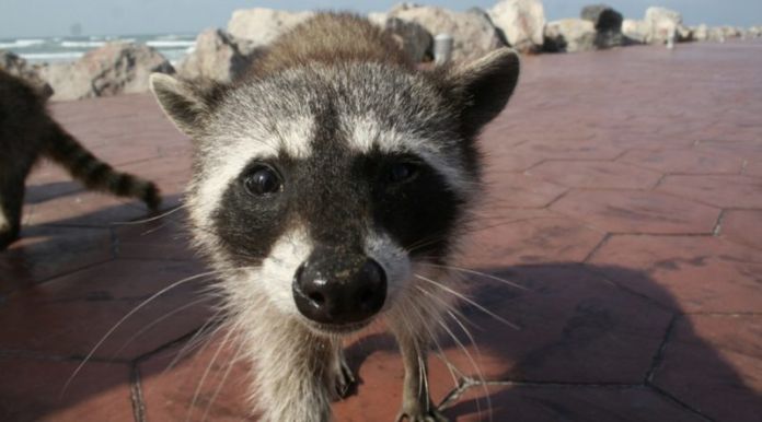 F962E2D6-F505-4F2E-BD3E-D71297C727CD