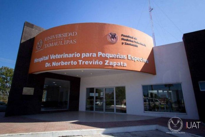 Foto_3_hosp_veterinario