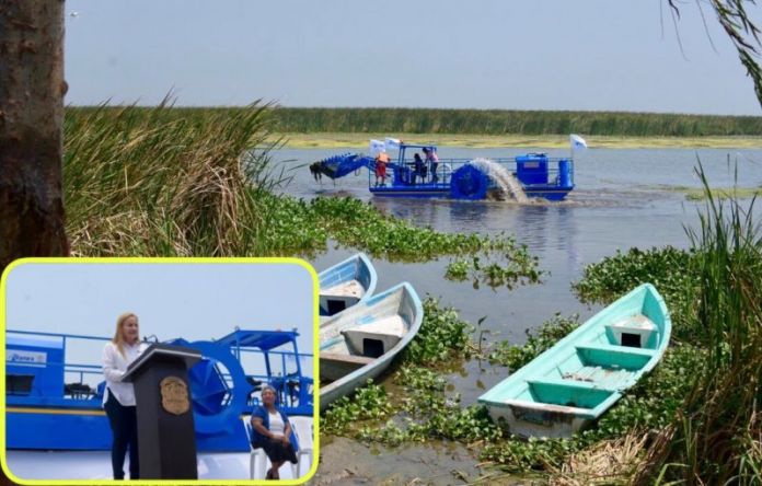 DE3FE784-7B0E-481C-BE05-AB979F75EBA8