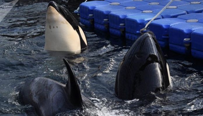 46570574-87CD-4B61-A82E-39EFBC169F95