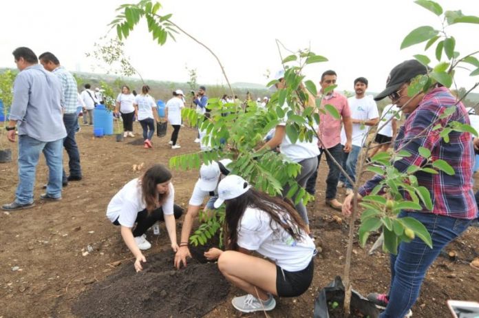 SDU-015-2019.-REFORESTAN PARA CELEBRAR ACTIVAMENTE EL DIA MUNCIAL DEL MEDIO AMBIENTE (2)