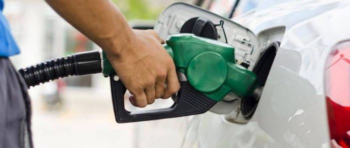 gasolina