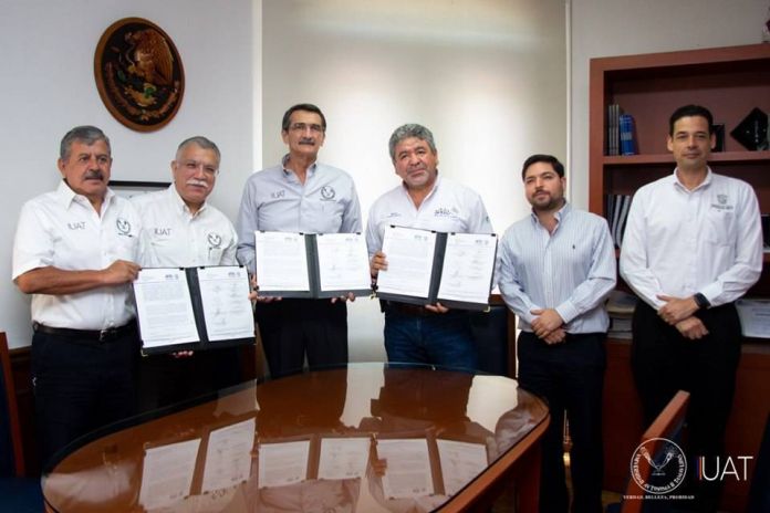 65705476_1540927129376268_4137348408622972928_n