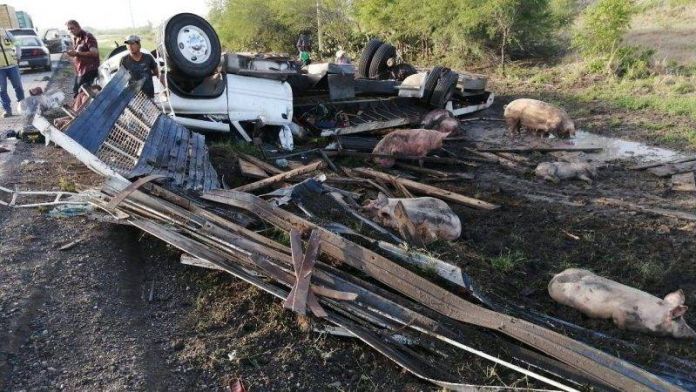 e1d9d89d-198e-48d8-8752-7b9247189c15