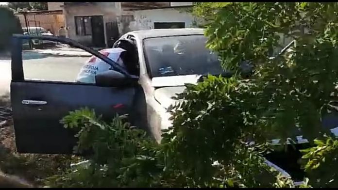 2811BDD1-6605-4109-ADFF-A327F7E4D41F