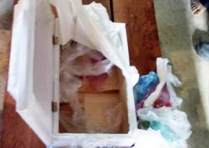 4B8B2B94-C91A-436D-A67A-803543A0F40D