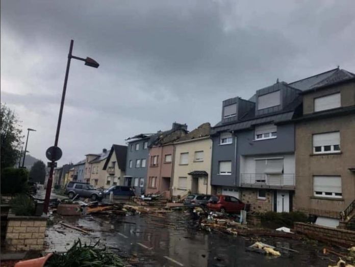 68925263_738551196580351_6560572143891906560_n