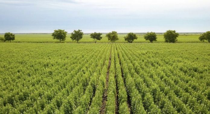 1A4E573E-438B-4044-AE34-8F403F7D1E5A