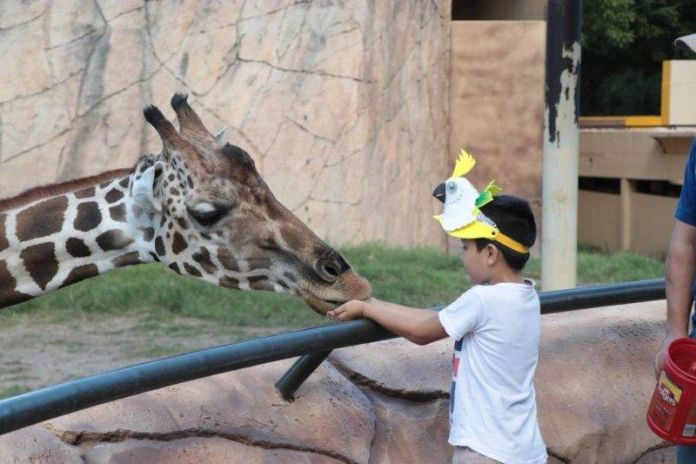 CPB-017-2019.-¡Llegó la Independencia a Tamatán! (4)