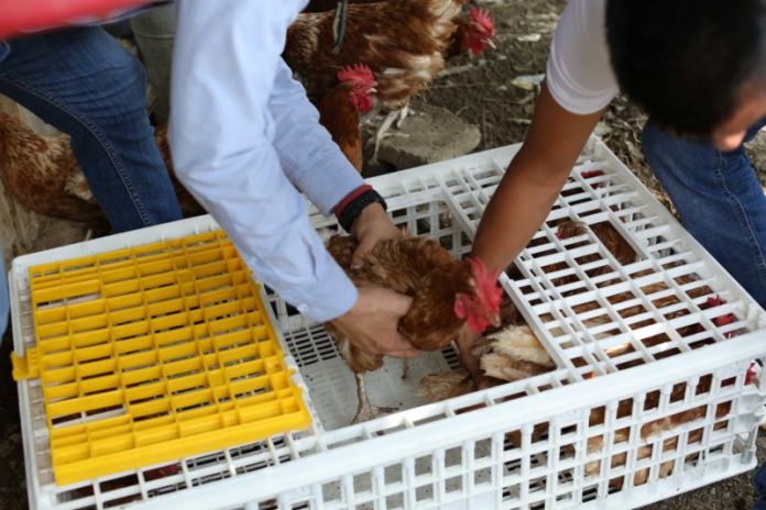 WhatsApp Image 2019-09-21 at 13.26.58