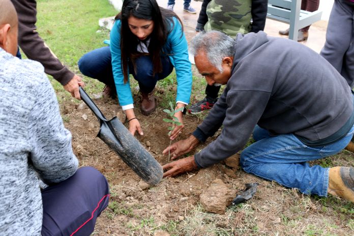 SDU-078-2019.-Gobierno del Estado reforesta 25 mil 900 árboles (5)