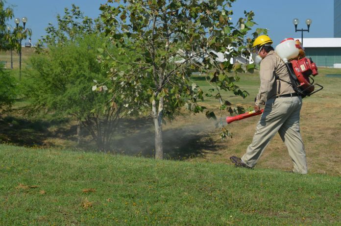 SST-060-2019.-Intensifica Tamaulipas prevención del dengue, zika y chikungunya (3)