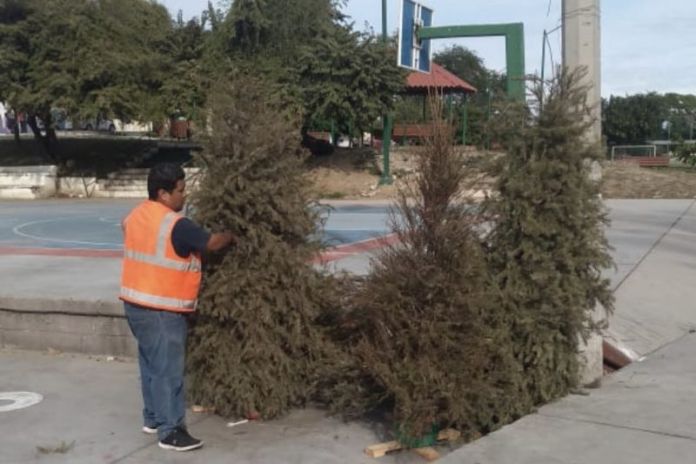 D081F692-9D55-4943-97E6-7A77C5102792