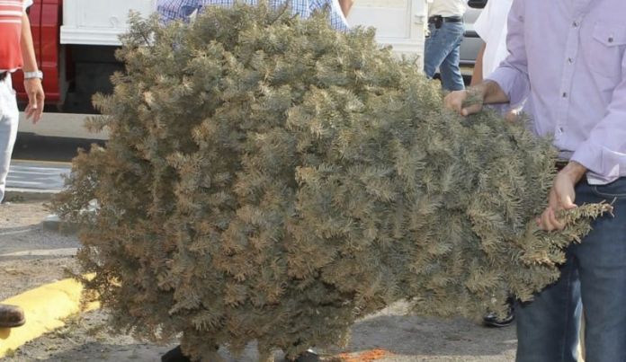 DD411B1C-D262-4909-86C2-31E578F3F887