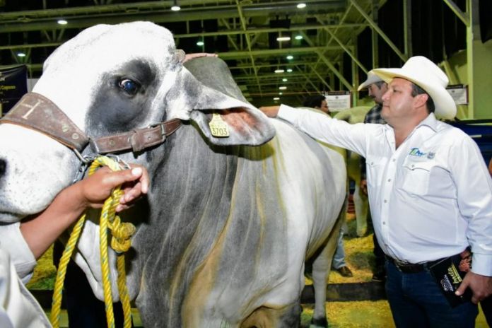 SRU-005-2020.-Ganaderos unen esfuerzos para recaudar fondos a favor del Sistema DIF Tamaulipas