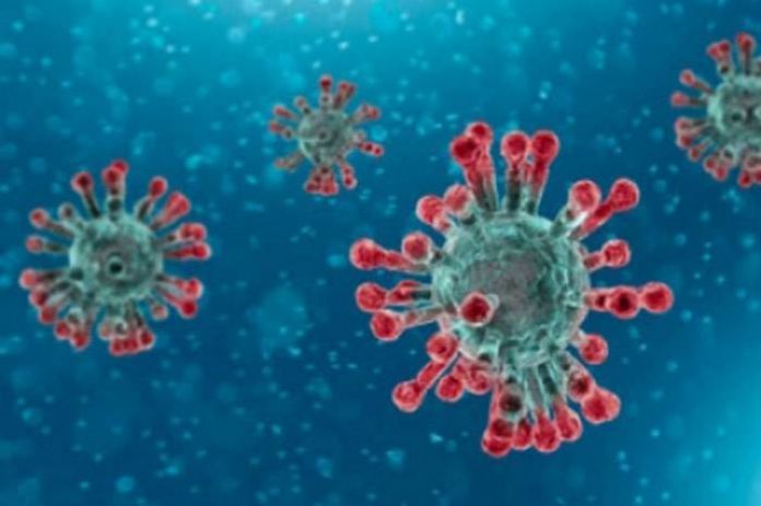 coronavirus