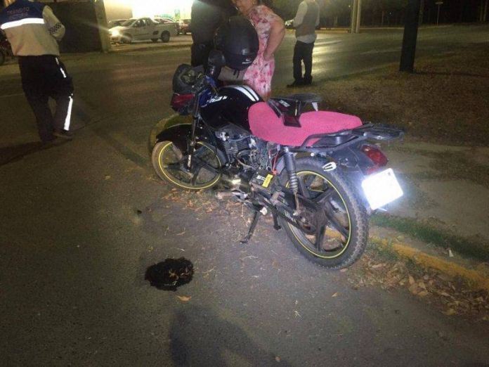 fcb32ec3-4b94-400f-ba7e-cd99ab875d5b