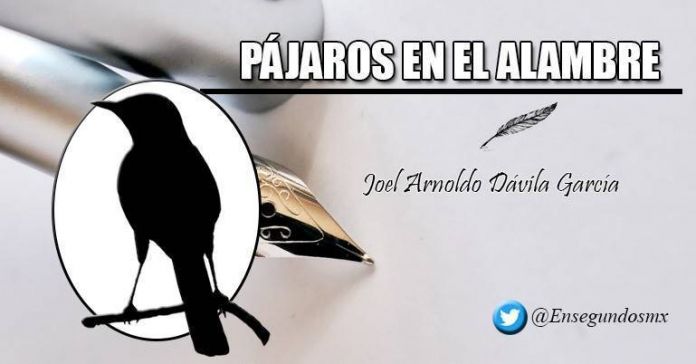 pajaros en el alambre pajaros