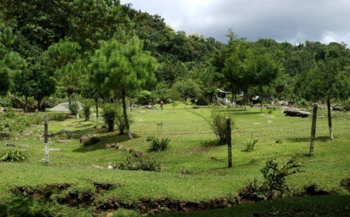 Screenshot_20200322-172619_Gallery