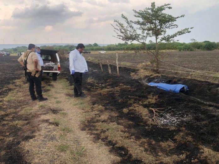 llera llera, tamaulipas
