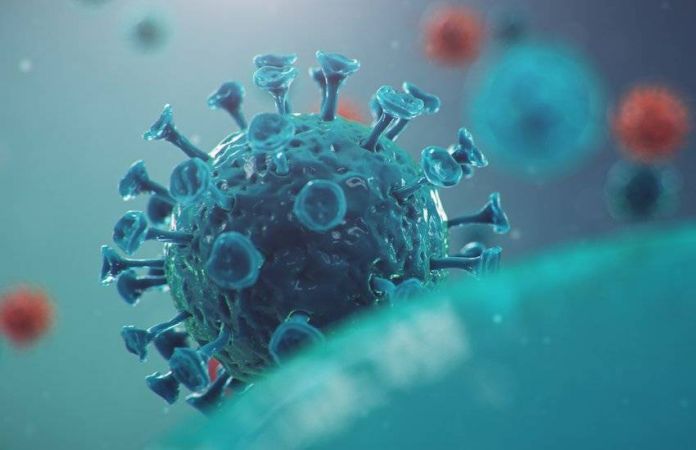 coronavirus covid-19