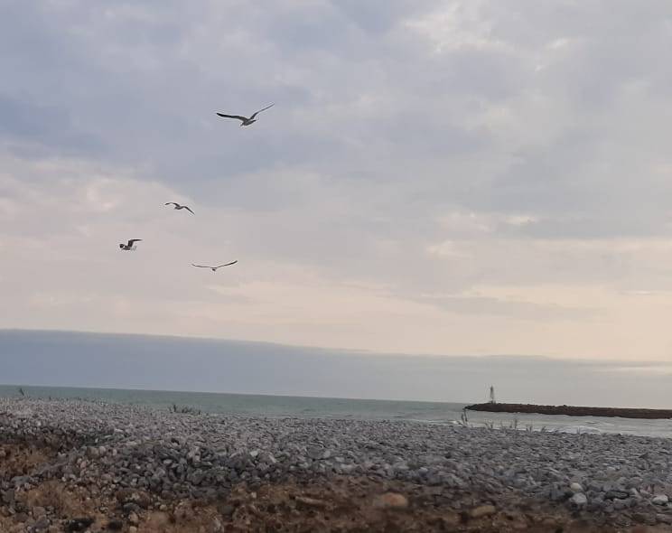 la pesca 2