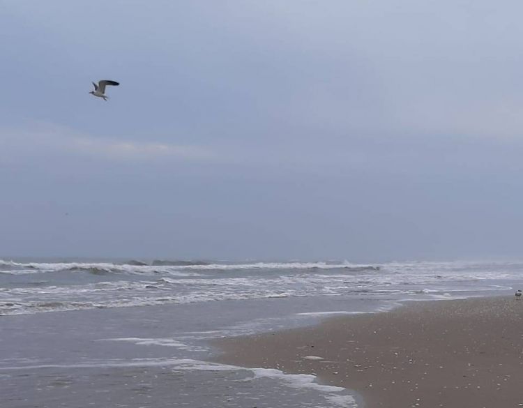 la pesca