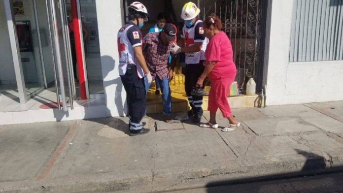 perro (2) perro ataca