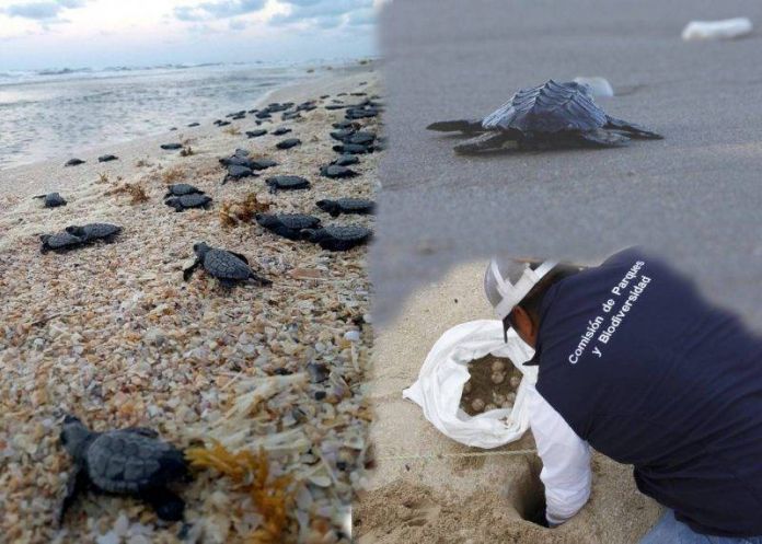 fundamental Fundamental