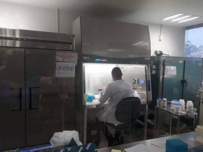 aumentan casos tamaulipas