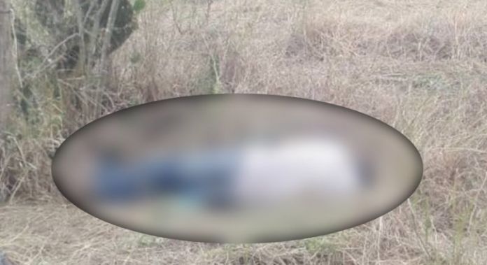 61C1E343-4006-4E4B-9072-930109993C01