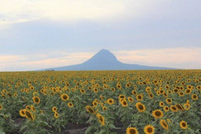 STU-033-2020.-Turismo Tamaulipas visualiza futura reapertura sostenible y solidaria (1)