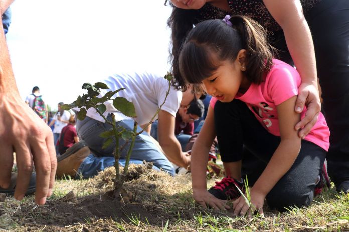 SDU-054-2020.-Gobierno de Tamaulipas fomenta protección y cuidado de los árboles (2)