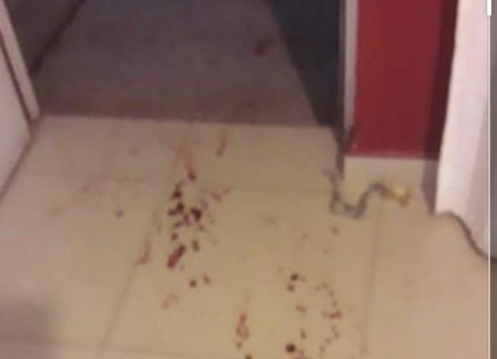 WhatsApp Image 2020-07-21 at 18.11.44