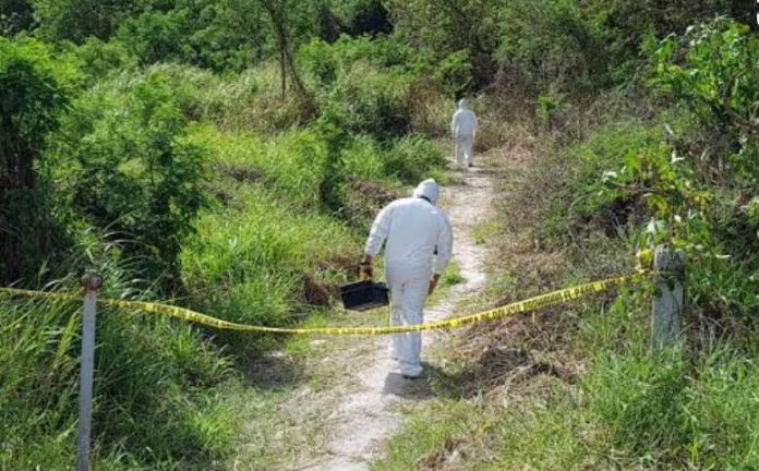 WhatsApp Image 2020-07-21 at 18.30.38 (1)