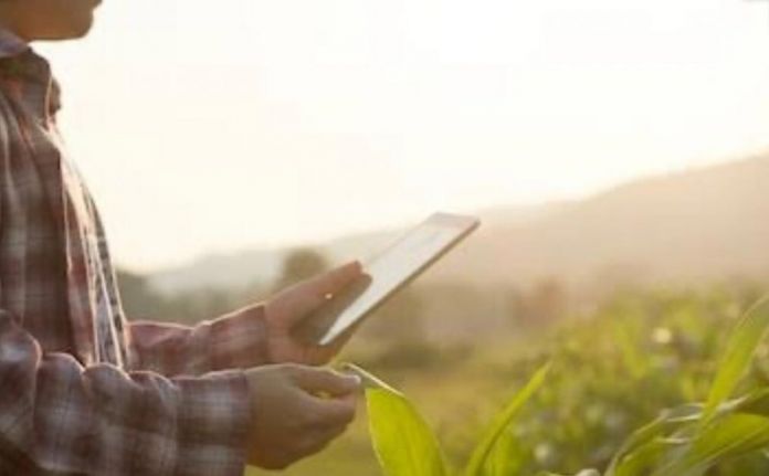 WhatsApp Image 2020-07-25 at 22.22.07