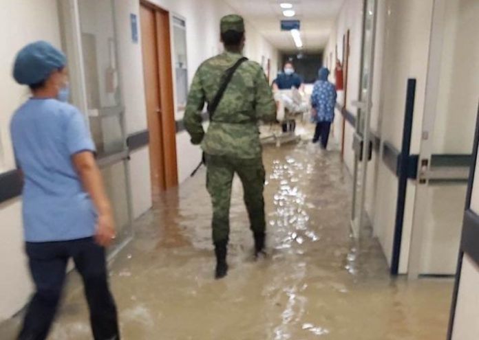 WhatsApp Image 2020-07-26 at 11.31.05 AM