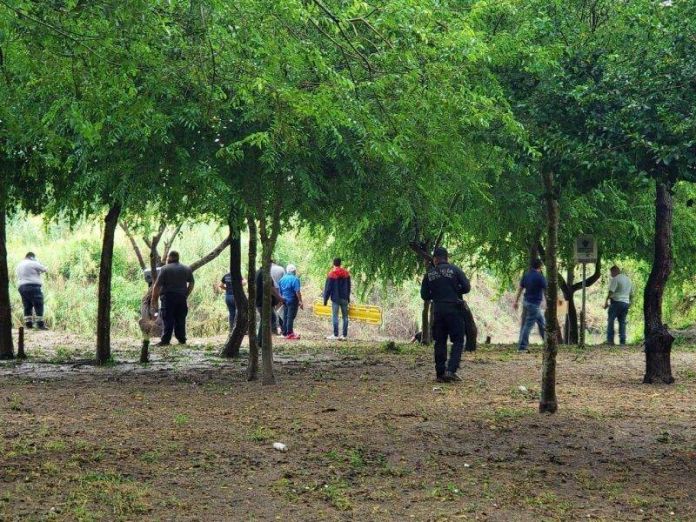 3941ea20-6157-4fc8-a892-cfaf44308e20