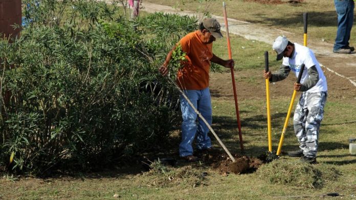 SDU-028-2021.-Impulsa Tamaulipas acciones para revertir cambio climático (2)
