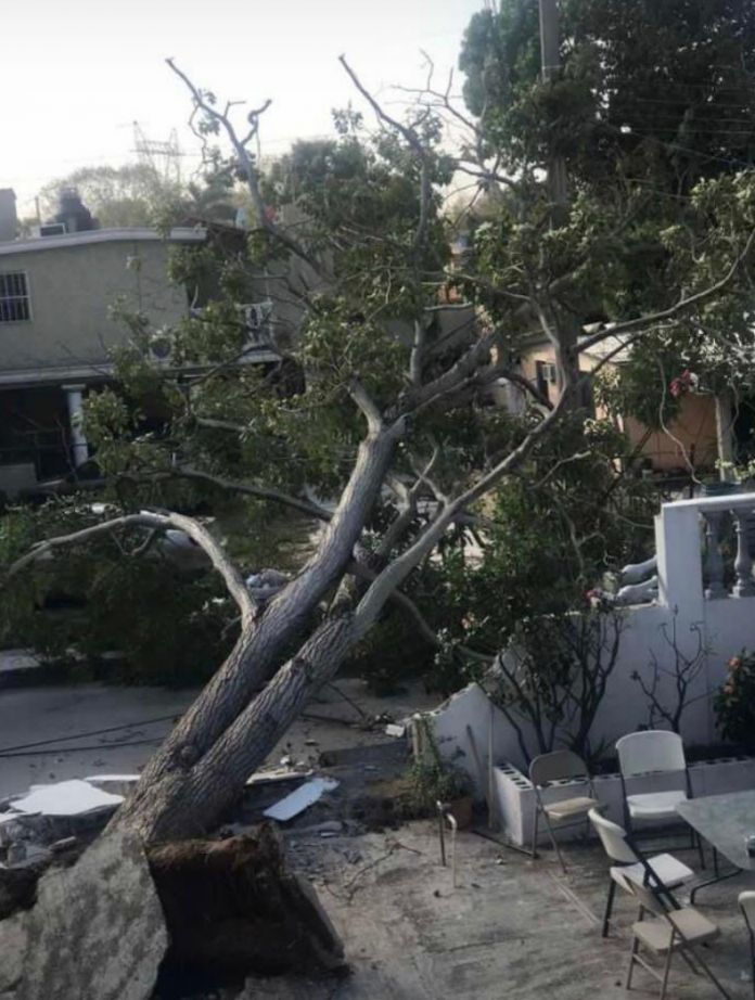 f2a36ec3-3a1b-4aba-9a73-56b29f295600