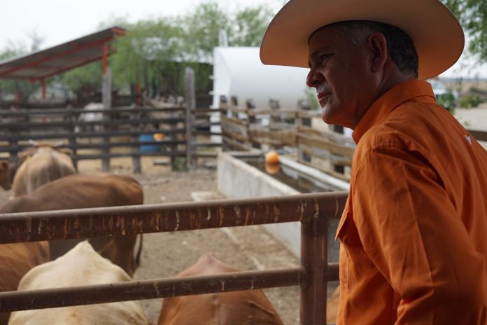 WhatsApp Image 2022-04-17 at 4.38.03 PM (1)