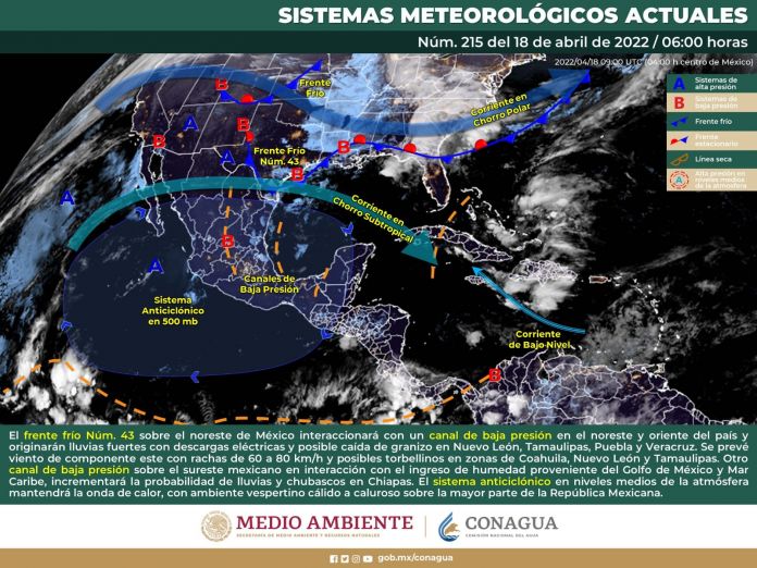 WhatsApp Image 2022-04-18 at 12.38.17 PM