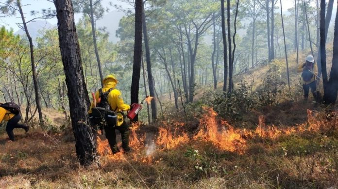 WhatsApp Image 2022-05-13 at 5.34.56 PM